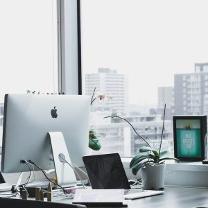 Local Citations & Business Directory Listings